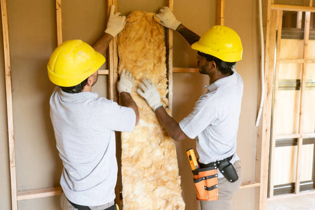 Best Wall Insulation Installation  in Frederick, MD