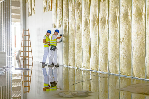 Best Basement Insulation  in Frederick, MD